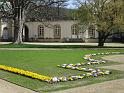 Pillnitz (122)